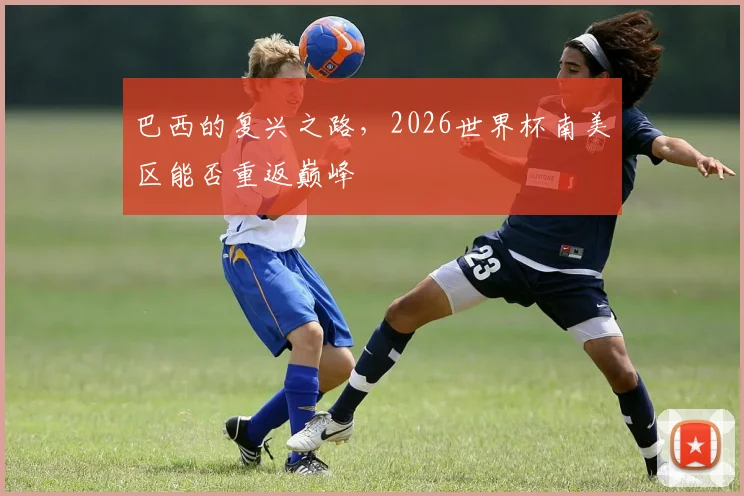 巴西的复兴之路，2026世界杯南美区能否重返巅峰