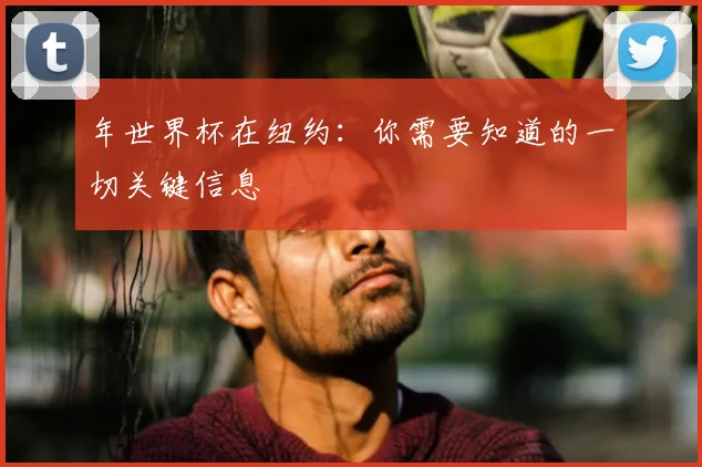 年世界杯在纽约：你需要知道的一切关键信息