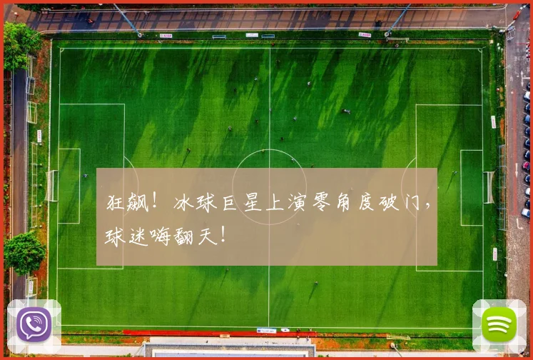 狂飙！冰球巨星上演零角度破门，球迷嗨翻天！