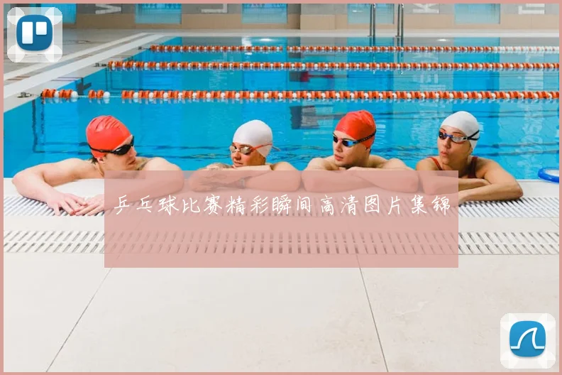 乒乓球比赛精彩瞬间高清图片集锦