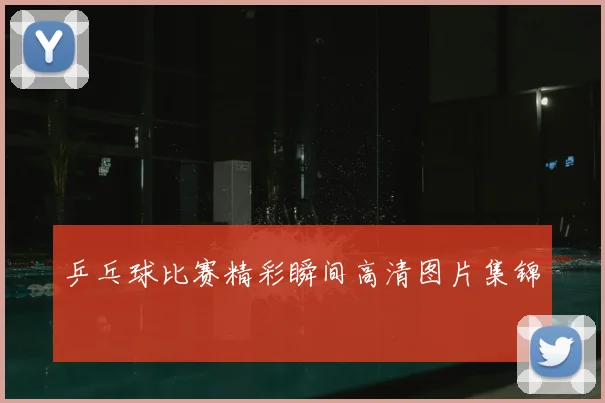 乒乓球比赛精彩瞬间高清图片集锦