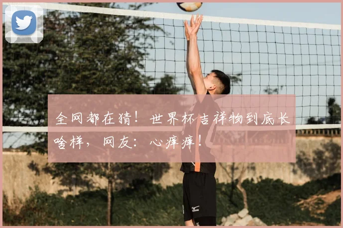 全网都在猜！世界杯吉祥物到底长啥样，网友：心痒痒！